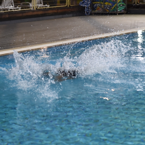 DSC_3219.JPG